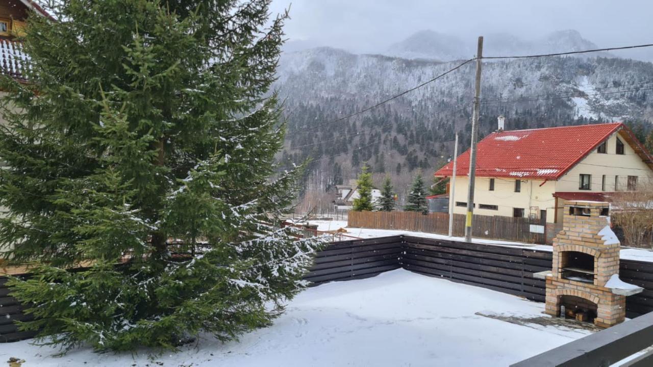 Nordic Chalet Sinaia Zewnętrze zdjęcie